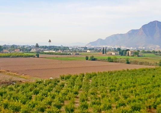 Finca in Callosa de Segura