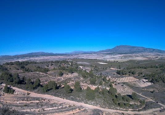 Land in La Zarza