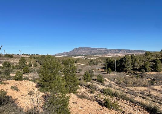Land in La Zarza