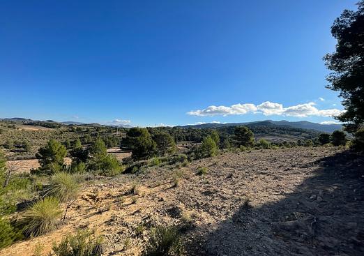 Land in La Zarza