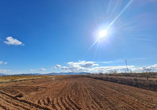 Land in Yecla