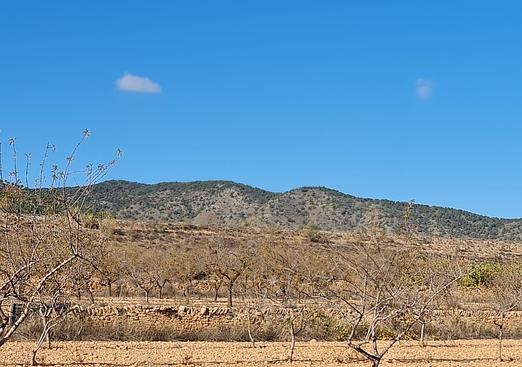 Land in Yecla