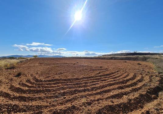 Land in Yecla
