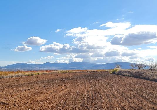Land in Yecla