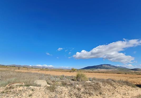 Land in Yecla