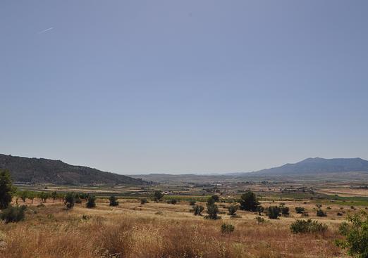 Land in Pinoso