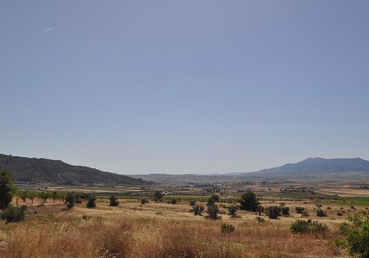 Land in Pinoso