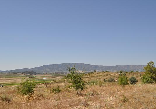 Land in Pinoso