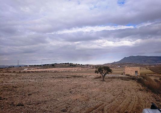 Land in Torre Del Rico