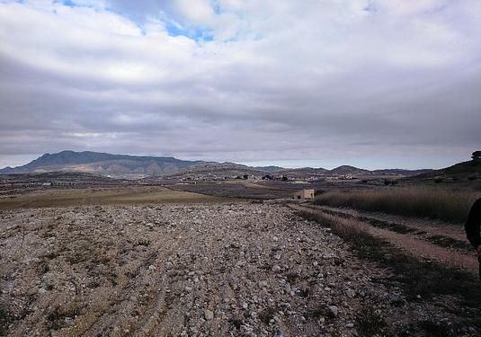 Land in Torre Del Rico
