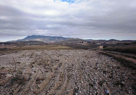 Land in Torre Del Rico