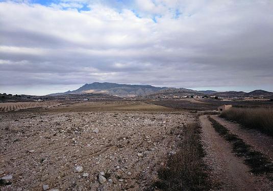 Land in Torre Del Rico