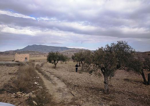 Land in Torre Del Rico