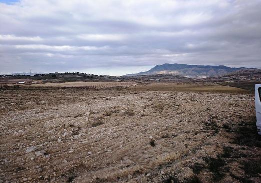 Land in Torre Del Rico
