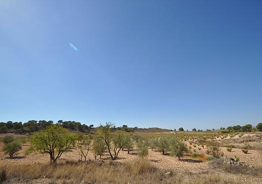 Land in Torre Del Rico