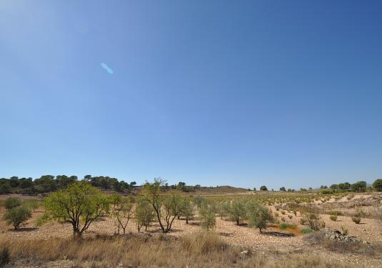 Land in Torre Del Rico