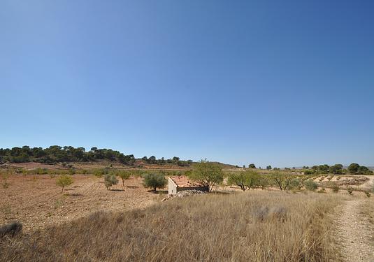 Land in Torre Del Rico