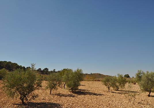 Land in Torre Del Rico