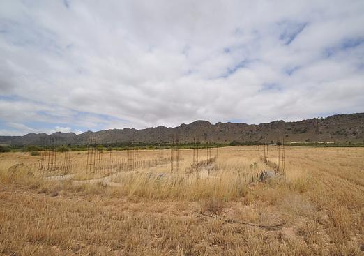 Land in Yecla