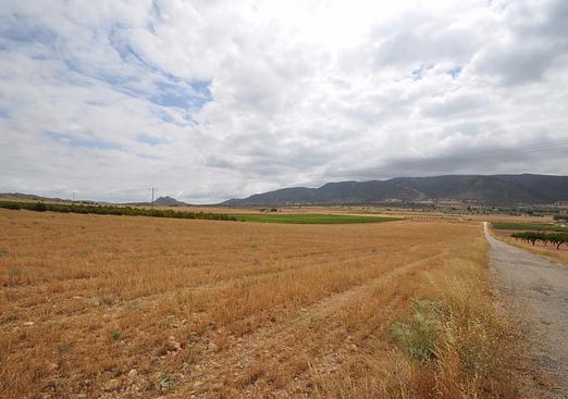 Land in Yecla