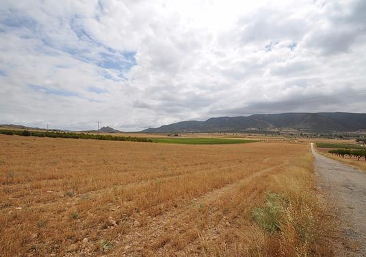 Land in Yecla