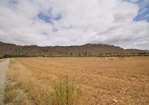 Land in Yecla
