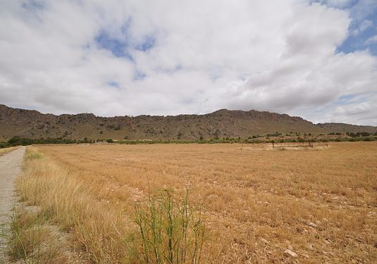 Land in Yecla