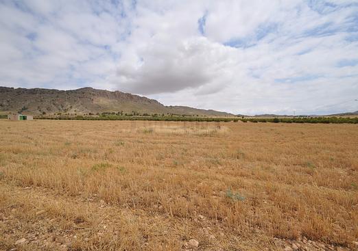 Land in Yecla