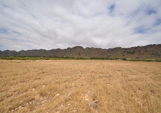 Land in Yecla