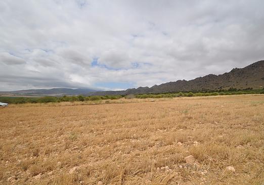 Land in Yecla