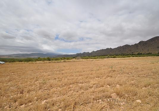 Land in Yecla