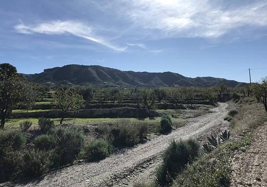 Finca in Lorca