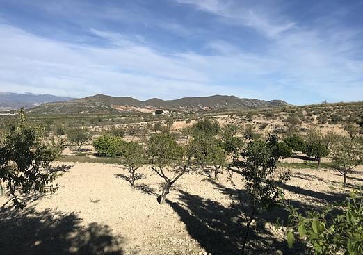 Finca in Lorca