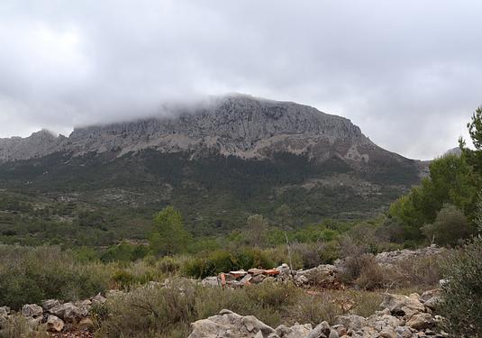 Land in Jalón