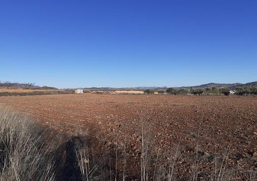 Land in Pinoso