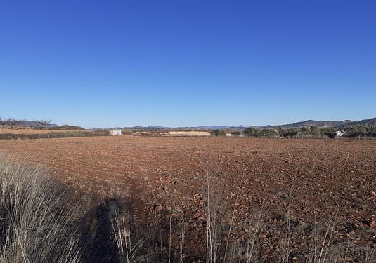 Land in Pinoso