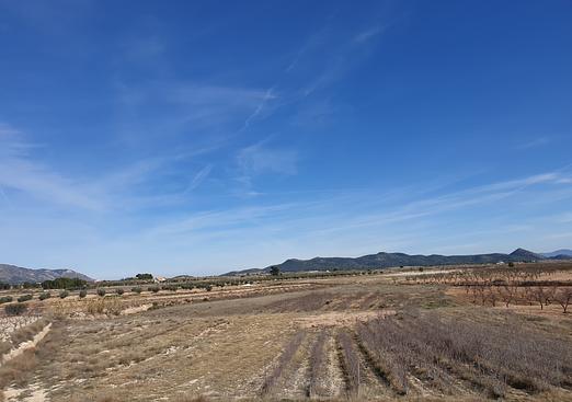 Land in Pinoso