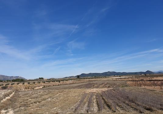 Land in Pinoso
