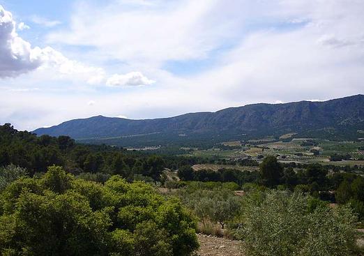Country house in Salinas