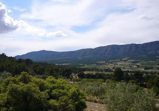 Country house in Salinas