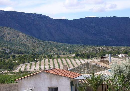 Country house in Salinas