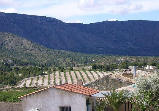 Country house in Salinas