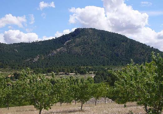 Country house in Salinas