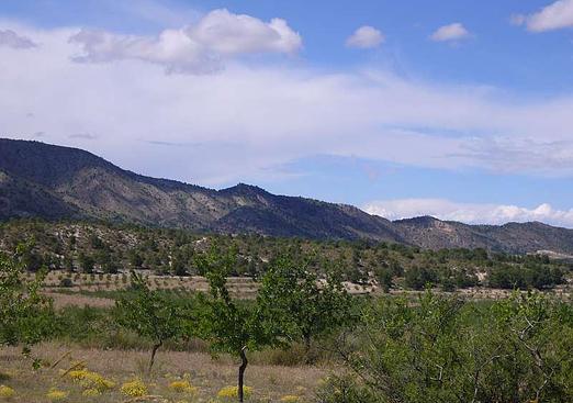 Country house in Salinas