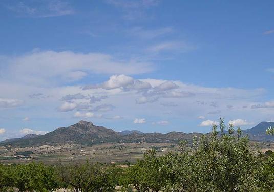 Country house in Salinas