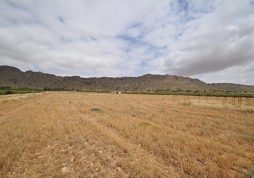 Land in Yecla