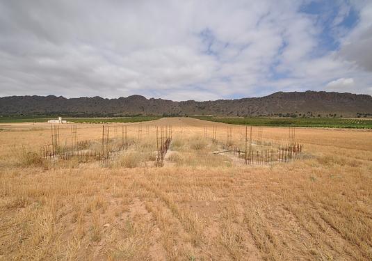 Land in Yecla