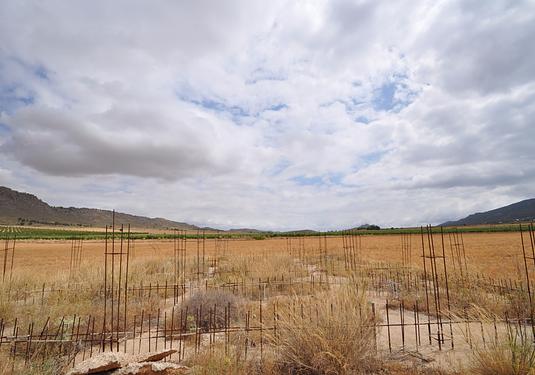 Land in Yecla
