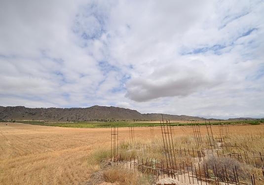 Land in Yecla
