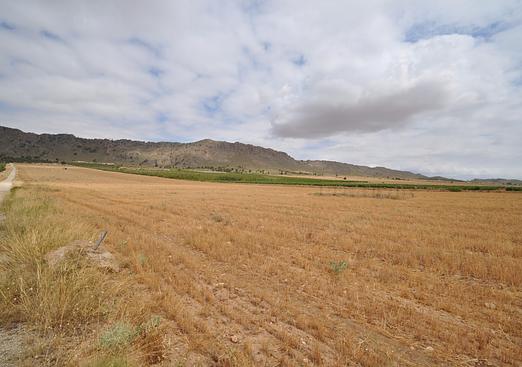 Land in Yecla